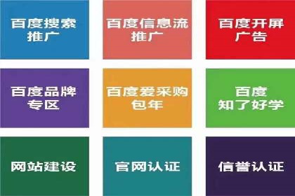 百度推广广告成功案例集锦