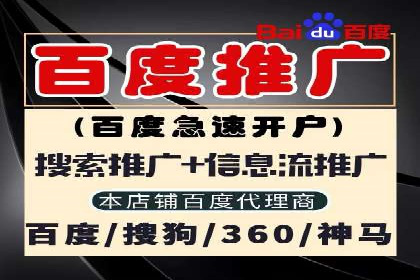 谷歌竞价实战：低成本高回报的广告投放
